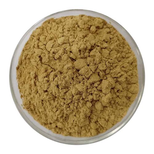 Yellow Dextrin Powder Manufacturer